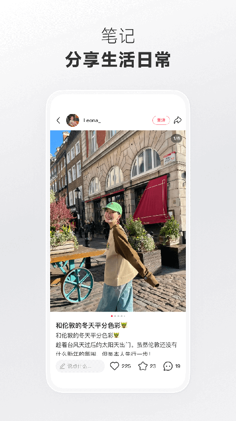 趴在向日葵茎秆上的蜜袋鼯攀爬壁纸